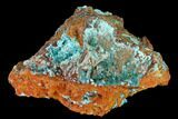 Fibrous Rosasite & Aurichalcite Crystal Association - Mexico #144579-1